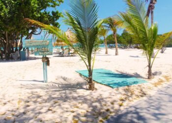 Boardwalk Boutique Hotel Aruba: A Hidden Gem of Tropical Comfort and Charm