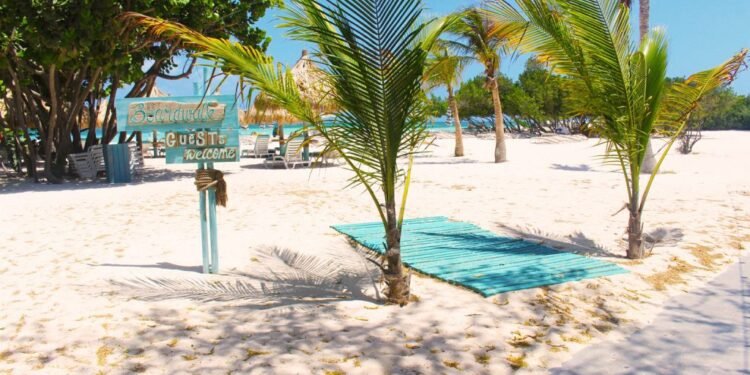 Boardwalk Boutique Hotel Aruba: A Hidden Gem of Tropical Comfort and Charm