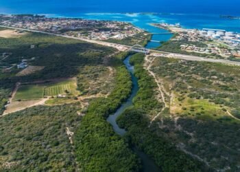 Mangroves and Wildlife: Environmental Awareness from Aruba – Pt. II