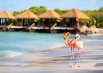 Aruba Named Safest Island in the Caribbean