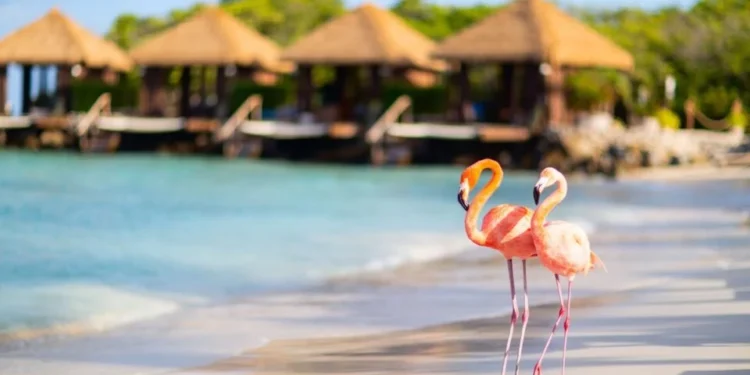 Aruba Named Safest Island in the Caribbean