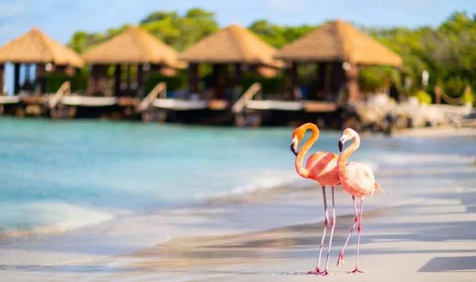 Aruba Named Safest Island in the Caribbean