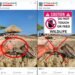 Aruba Birdlife Conservation Urges Public: Do Not Touch or Feed Wildlife