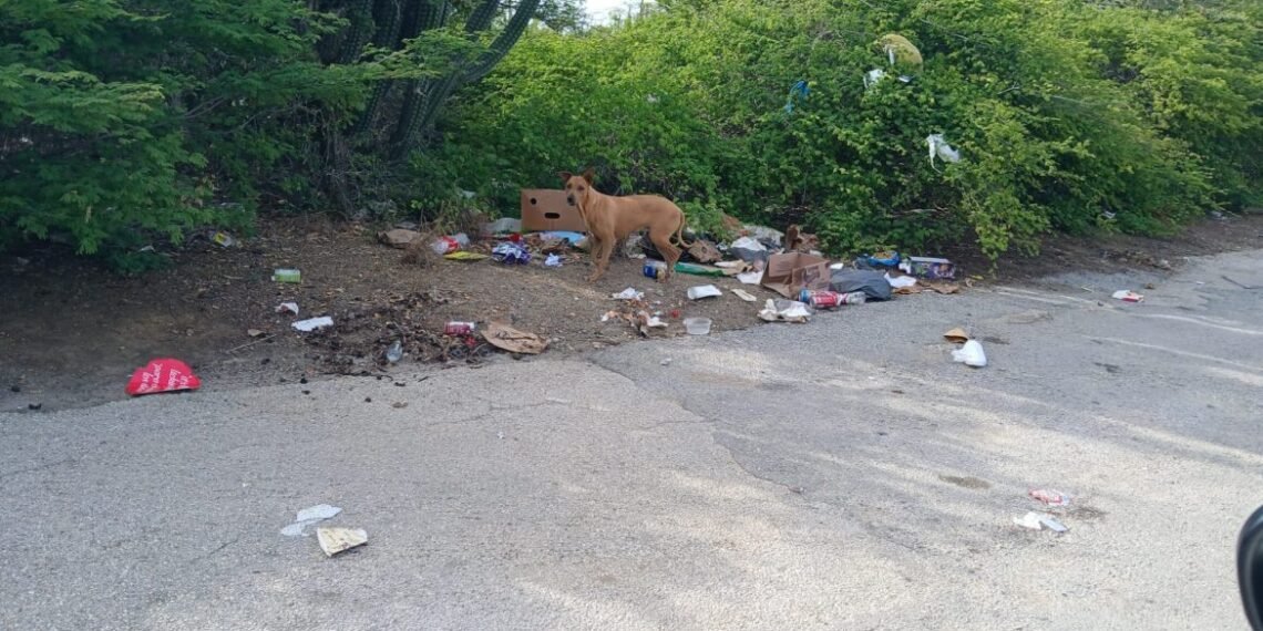 Returning Local Troubled by Garbage Littering the Island