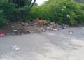 Returning Local Troubled by Garbage Littering the Island