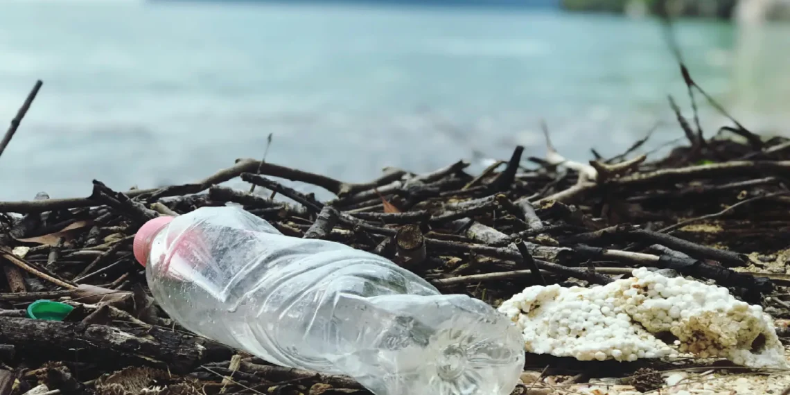 How Visitors Can Help Aruba Combat the Global Waste Crisis
