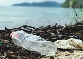How Visitors Can Help Aruba Combat the Global Waste Crisis
