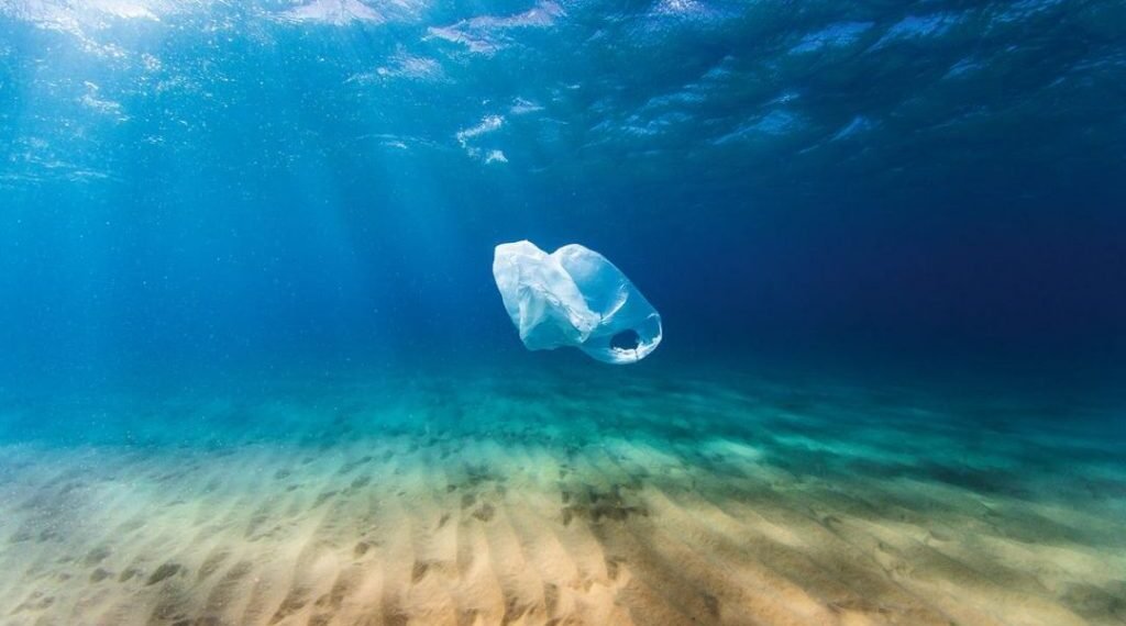 Keep Our Island Happy: Environmental Awareness from Aruba – Part I