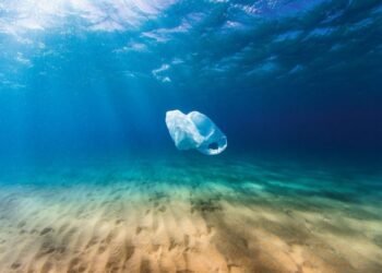 Keep Our Island Happy: Environmental Awareness from Aruba – Part I