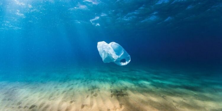 Keep Our Island Happy: Environmental Awareness from Aruba – Part I