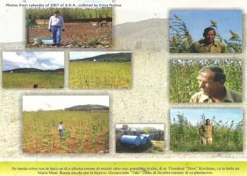 Episode CCCX V-315: Maishi Rabo — A Story of Crops, Culture, and Resilience