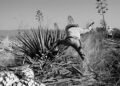 Episode 317 – AGAVE: Ancestral Wisdom for a Sustainable Future