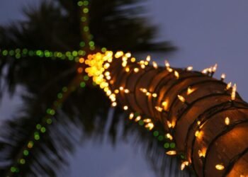 Discover the Holiday Magic in Aruba: Lights, Markets, Food & Festive Fun