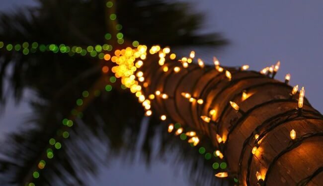 Discover the Holiday Magic in Aruba: Lights, Markets, Food & Festive Fun