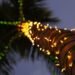 Discover the Holiday Magic in Aruba: Lights, Markets, Food & Festive Fun
