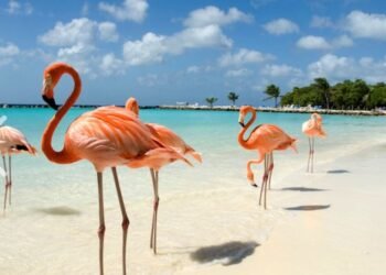 Luxury Cruise Price Drop: Vancouver to Mexico, Costa Rica, Panama Canal, and Aruba