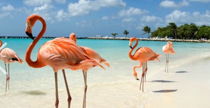 Luxury Cruise Price Drop: Vancouver to Mexico, Costa Rica, Panama Canal, and Aruba