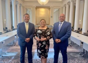 Aruba’s Parliamentary Delegation Meets with Raad van State Representative to Discuss the Rijkswet