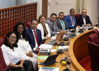 The Step-by-Step Process of the Rijkswet Explained