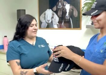 Miss Teen Aruba International Tara van der Werk Promotes Animal Rights Awareness