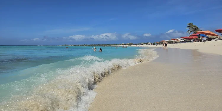 Arashi Beach in Aruba: A Hidden Gem with Calm Waters, White Sand, and a Beloved Beach Bar