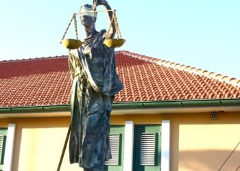 Teen sentenced to 15 months for attempted murder with a car