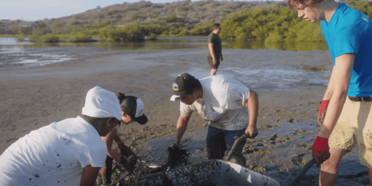 Turning the Tide: Documentary Highlights Aruba’s Marine Restoration