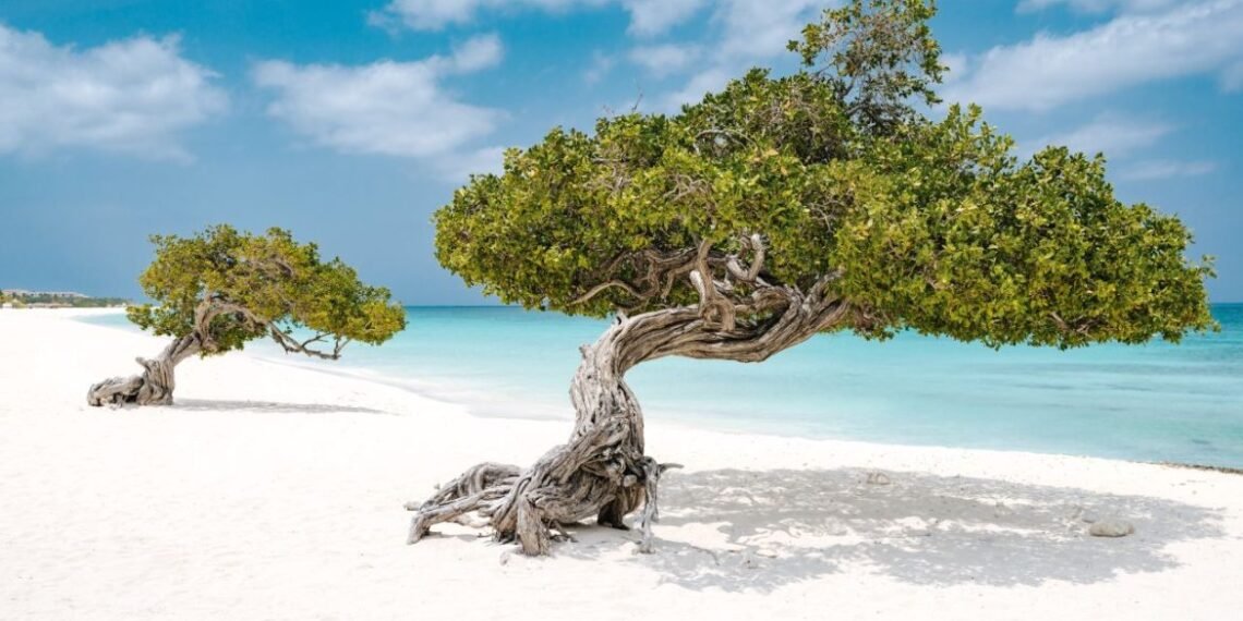 Why Argentines Are Flocking to Aruba This Season