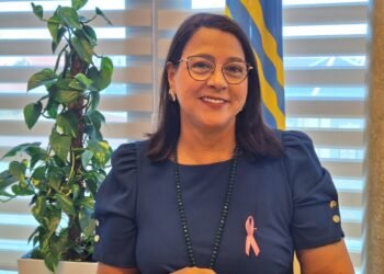 Government Working on Solutions to Housing ShortageMinister Mervin Wyatt-Ras Addresses Homelessness and Pressure on Social Housing