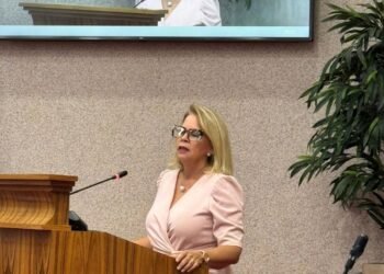 Professor Elzinga Reaffirms That the Agreement Signed by the MEP Government in 2024 Is Not Legally Binding