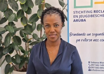 Rising Youth Street Fights Near Schools Spark Concern, Says Reclassering Director