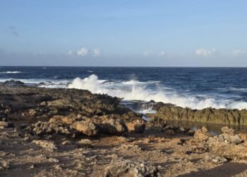 Aruba to Me: Peacefulness and Sunshine