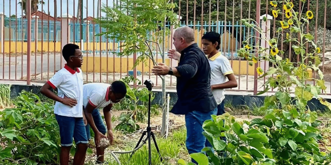 Understanding Aruba’s Growing Social Vulnerabilities