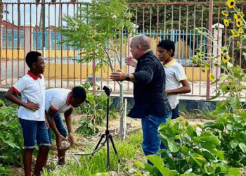 Understanding Aruba’s Growing Social Vulnerabilities