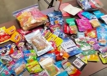 Court Handles Case of Cocaine Hidden in Mangoes and Party Supplies