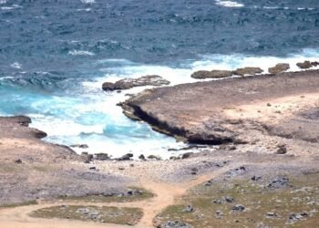 Police Seize Drug Packages on the North Coast of Aruba