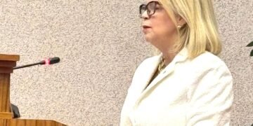 MEP Faction Criticizes AVP-Futuro Government for Lack of Transparency