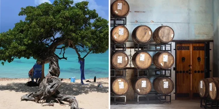I Ate My Way Through Aruba—and Discovered a Culinary Revolution