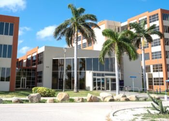 Aruba Moves Income Tax Filing to Fully Digital Format
