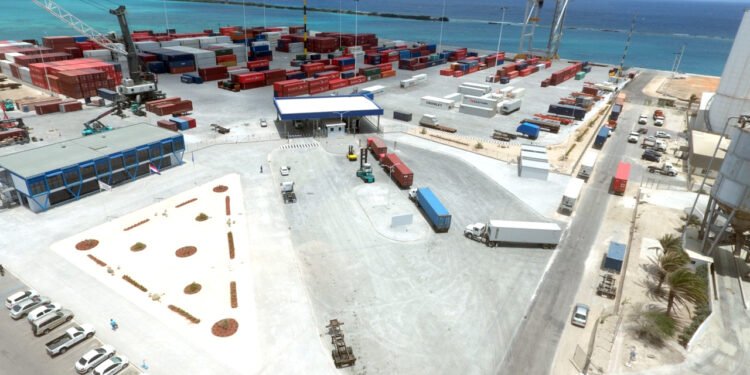 Local Business Shocked by Astronomical Fees After Container Remains at Port