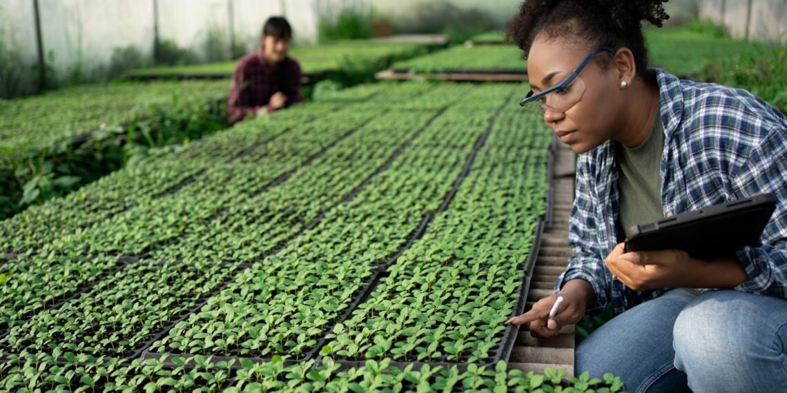 Caribbean PhD Scholarships Assessment Process Now Underway