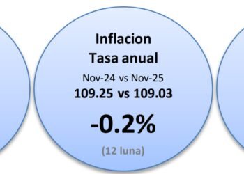 Consumer Price Index for November Declines by 0.1 Percent Compared to October