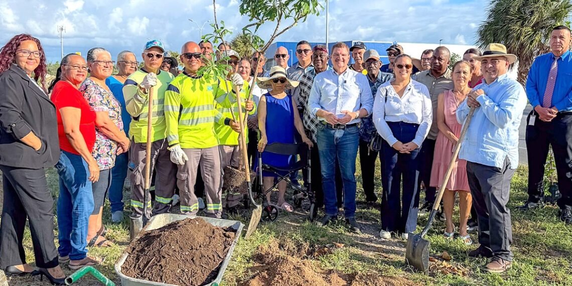 Pilot Project for Urban Green Space on MaracastraatTarabana Also Included in National Reforestation Program