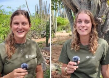 Two Students Research Visitor Waste Left Behind in Arikok National Park