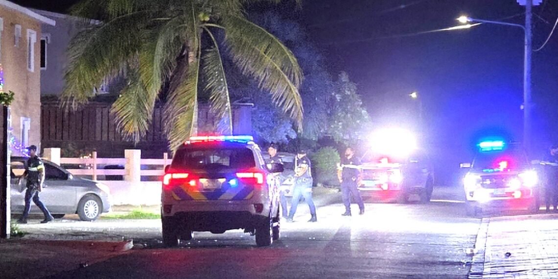 Large Police Response After Major Fight Breaks Out in Sero Patrishi