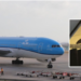 Rat on Board Causes Unexpected Delay for Aruba–Amsterdam Travelers