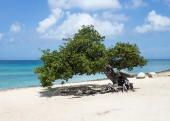 Aruba Ranked Among the Safest Destinations in the Caribbean, New Study Finds