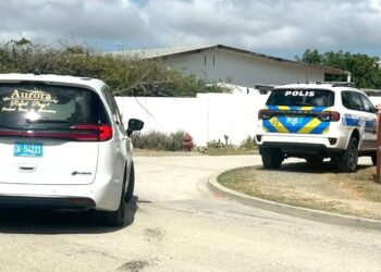 caso mangel halto 01 large