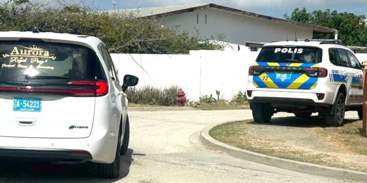 caso mangel halto 01 large