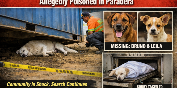 Three Beloved Dogs Allegedly Poisoned in Paradera